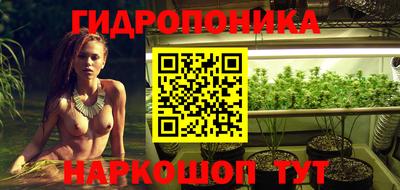 jwh Рузаевка