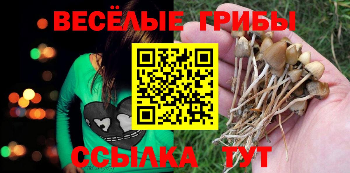 Прокопьевск  Псилоцибиновые грибы прущие грибы  Вход с VPN  Галлюциногенные грибы ЛСД 
